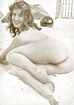furry pussy cats vintage retro - Retro vintage porn
